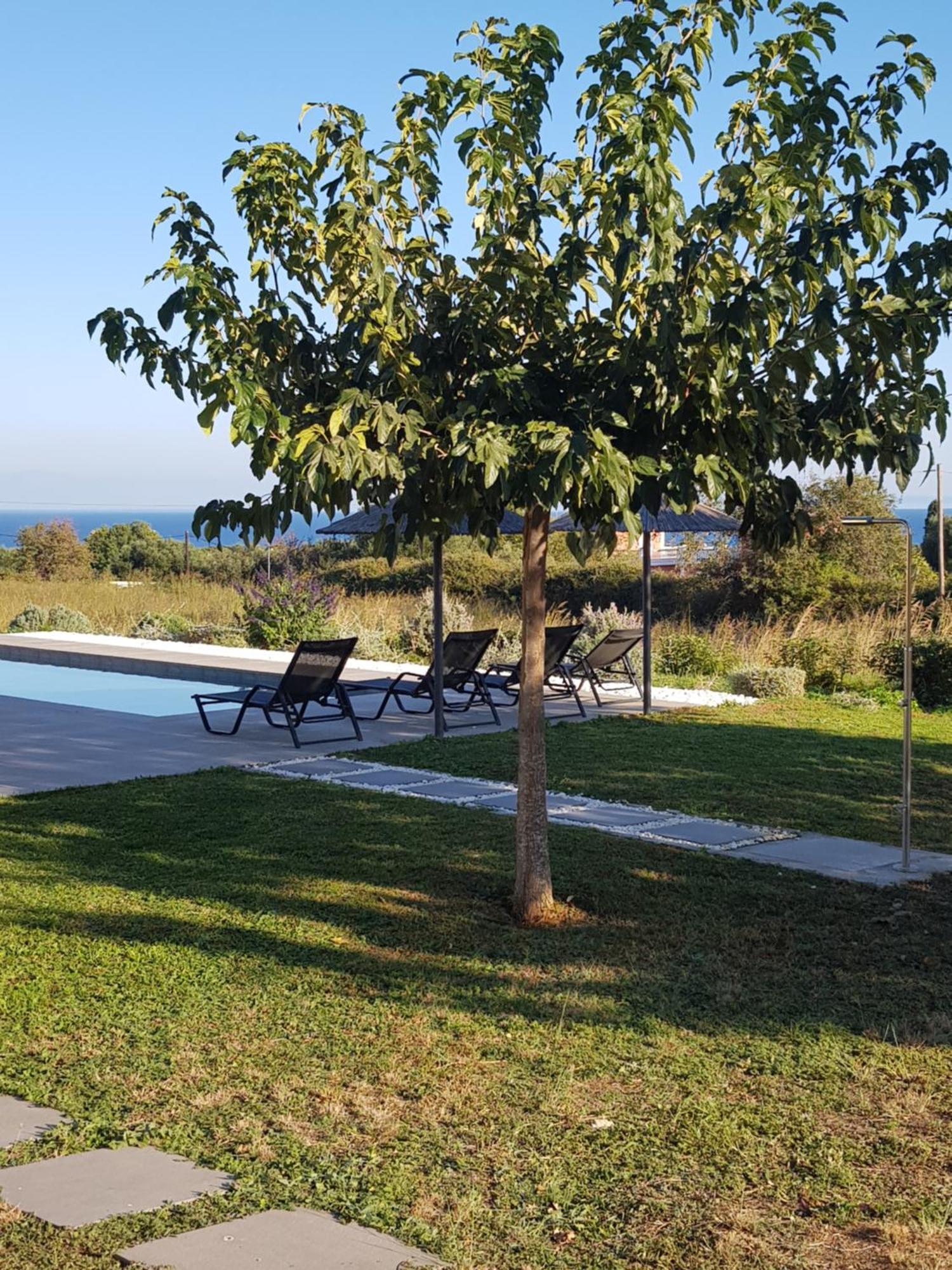 Alberi - Izla Homes Skala  Ngoại thất bức ảnh